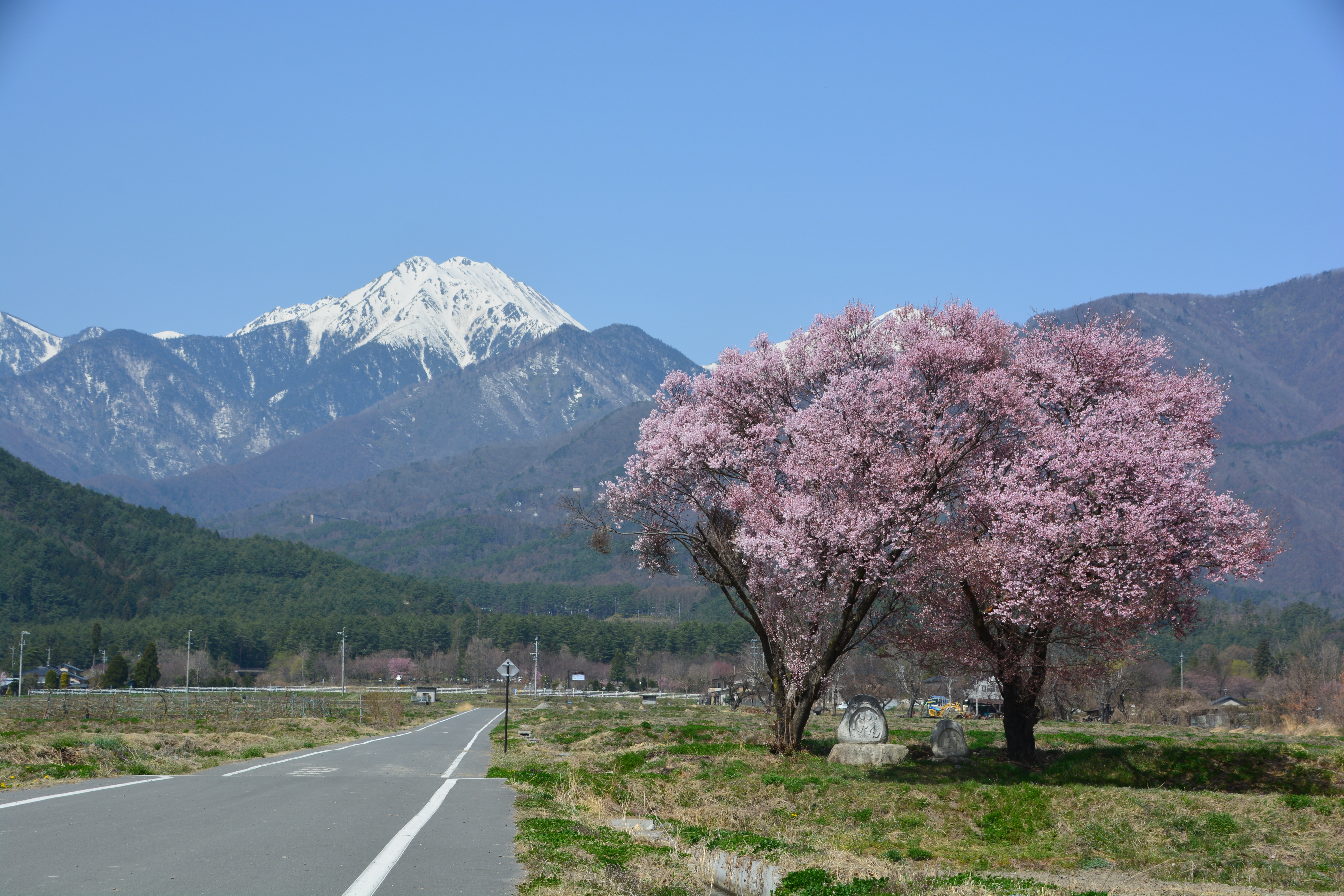 dousoujin